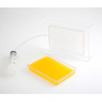 CAJA CAVIAR PARA ESFERIFICAR 1.jpg