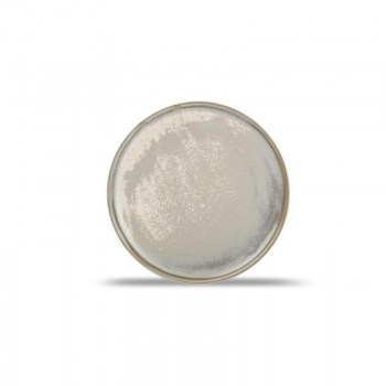 F2D USKO VERDE PLATO LLANO 15 CM0.jpg