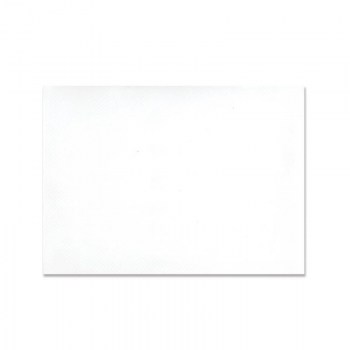 MANTELIN INDIVIDUAL 30X40 T.N.T BLANCO *500 UDS1.jpg