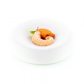 MOLDE PULPO POLPO 201.jpg