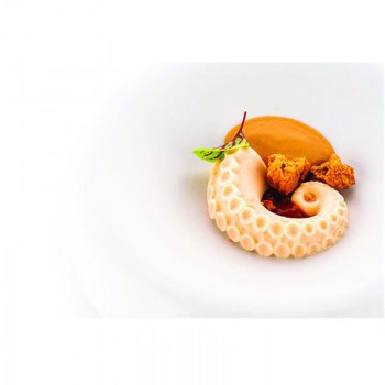 MOLDE PULPO POLPO 202.jpg